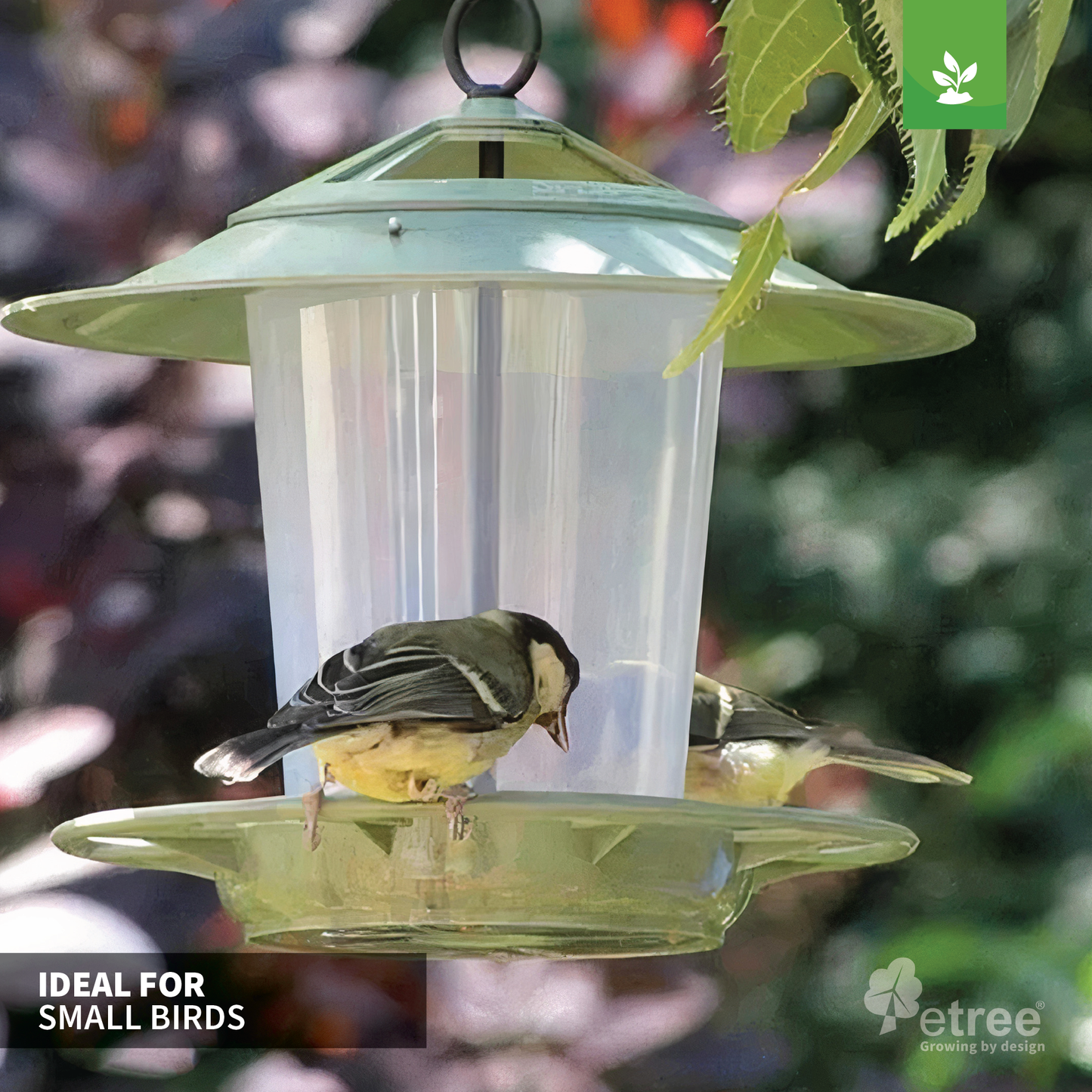 Easy Clean Lantern Bird Feeder - Prevent Disease & Protect Wildlife