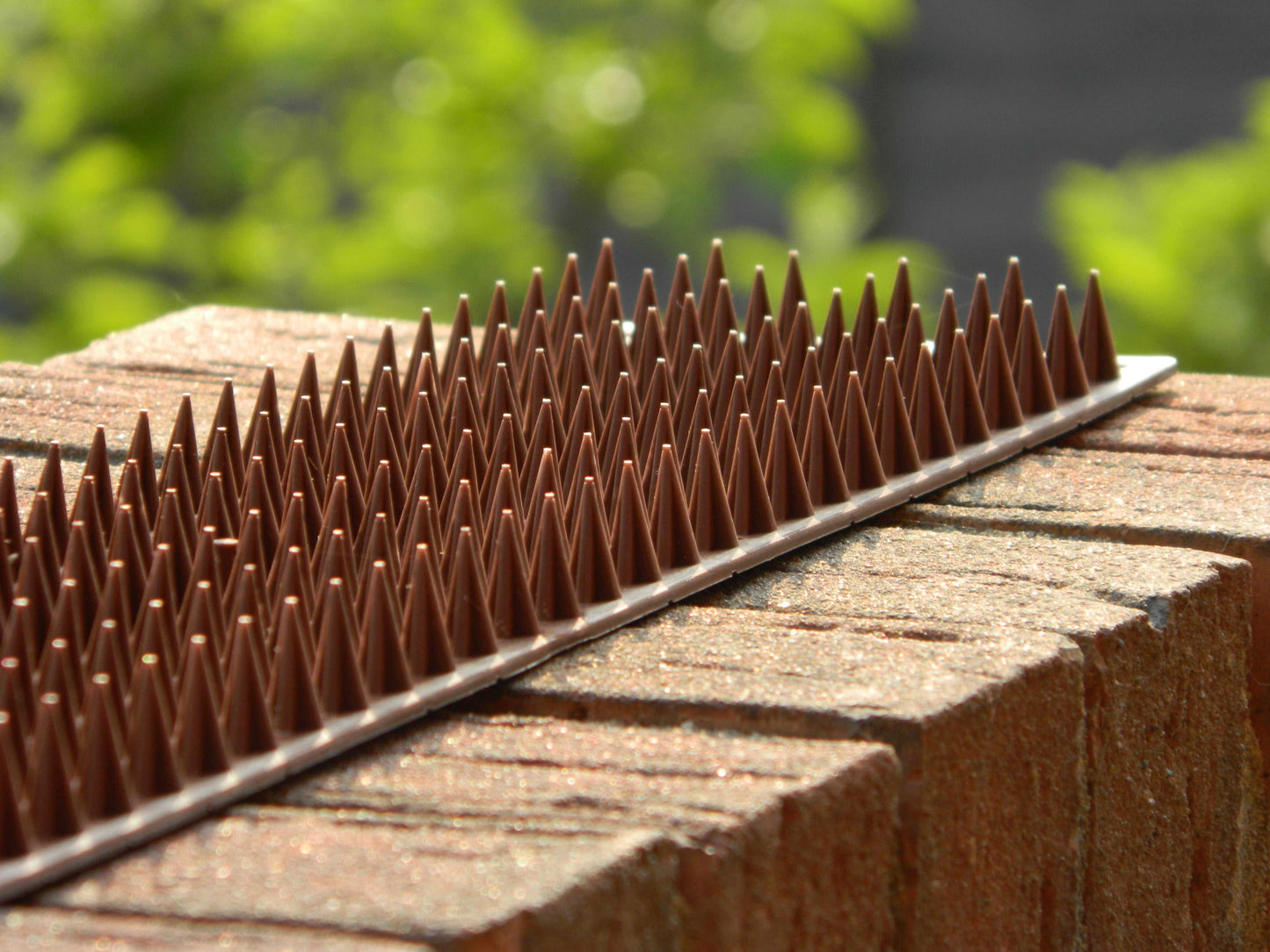 Fence Guard by Etree Fence Guard Anti Climb Security Spikes (6 or 18 Pack) 4 Colours Available Business & Home Security