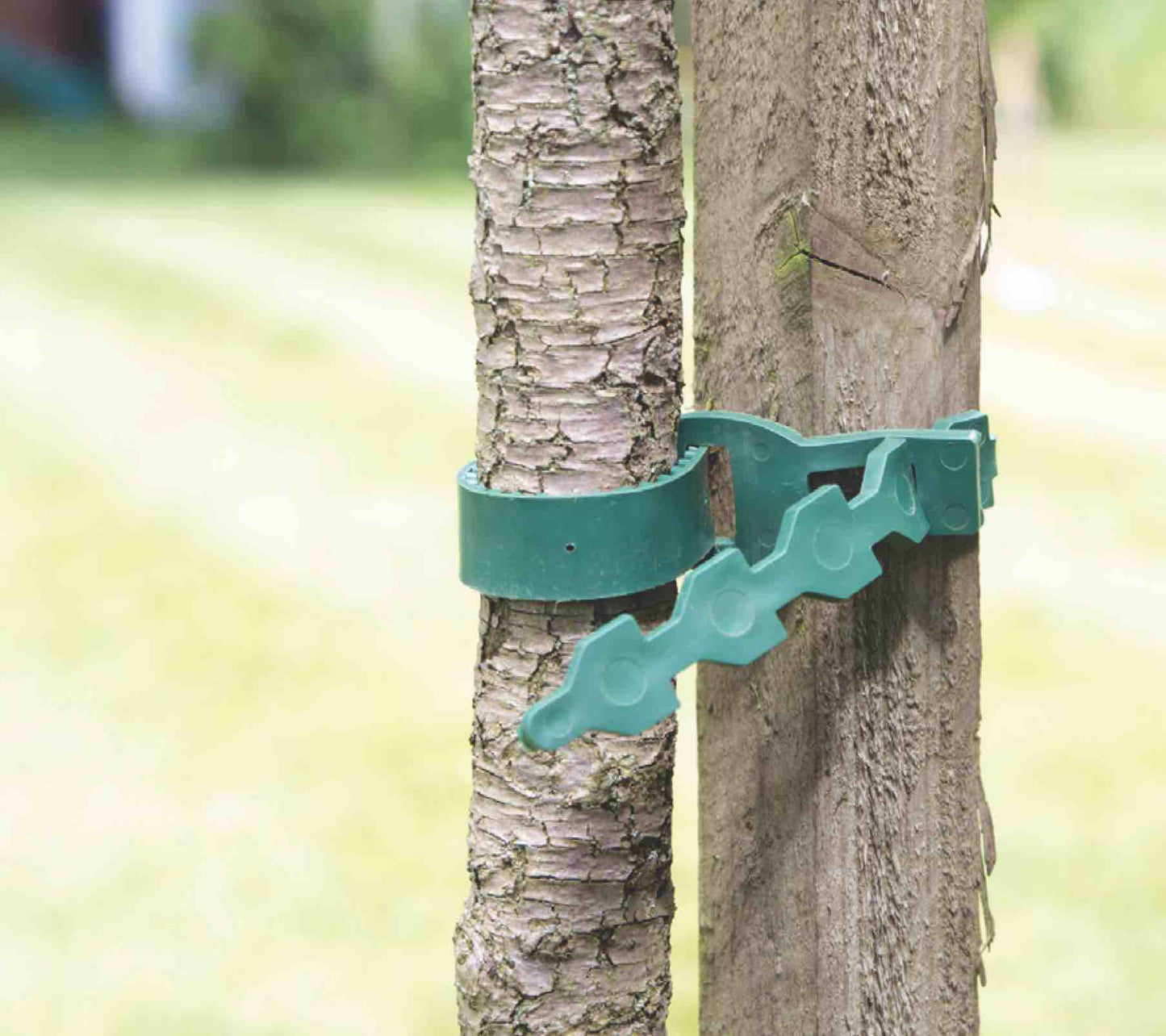 Etree Tree Ties 19" or 24" (2pcs) Gardening Accessories