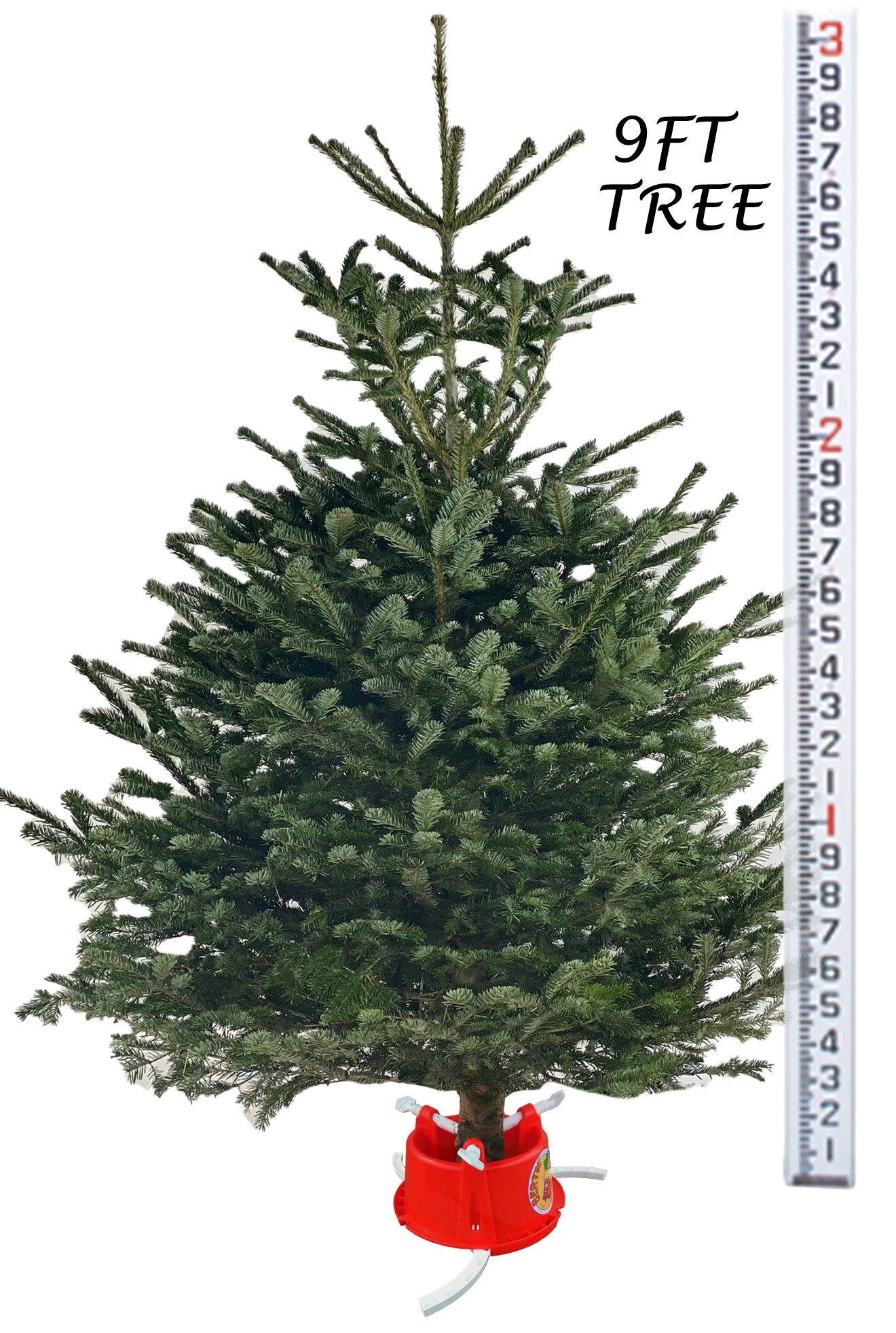 Bertie Christmas Tree Stand