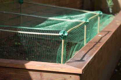 Etree Cane Balls - Build netting cages and plant structures the simple way. Gardening Accessories