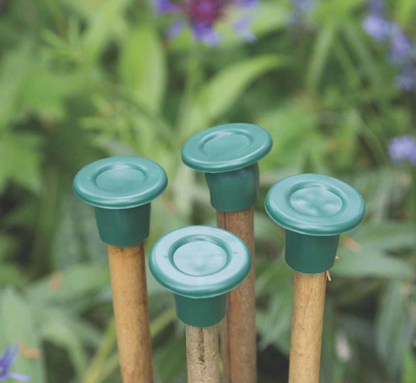 Etree Plain Cane Caps (10pcs) Gardening Accessories