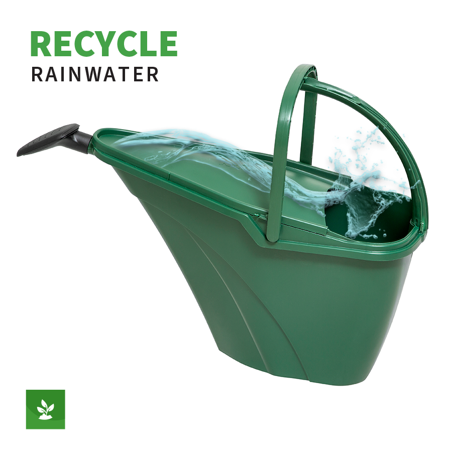 Etree Eco Rain Collecting Watering Can (7L) Includes frog ladder to
