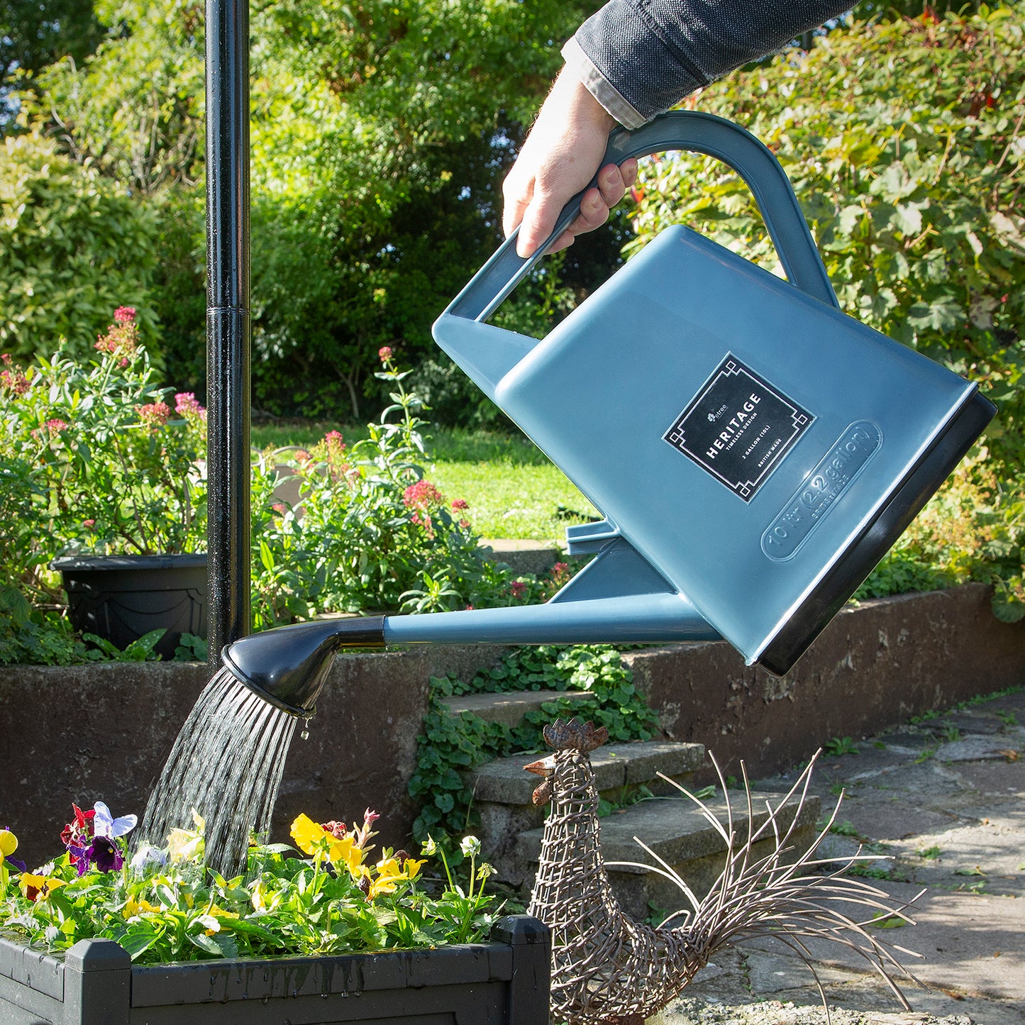 decorative blue watering can 10 litre with rose attachment coarse spray for outdoors plants