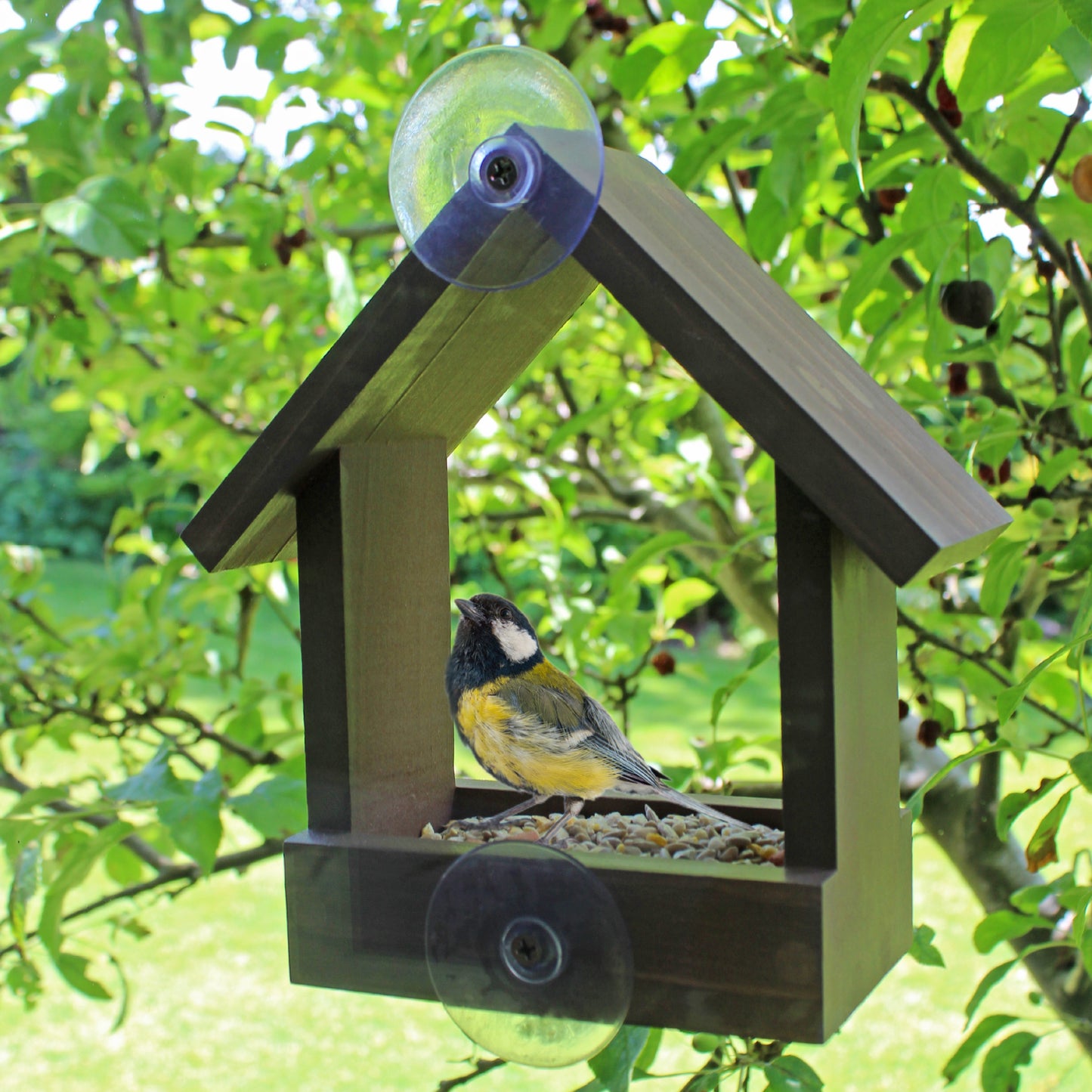 Wooden Window Bird Feeder